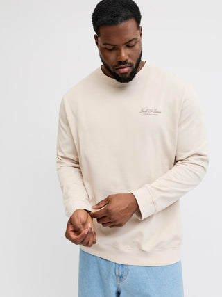 Ανδρικό φούτερ JJEARCHIVE GRAPHIC SWEAT CN plus size Jack & Jones 12294579 Moonbeam NOOS SS26