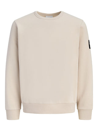 Ανδρικό φούτερ JJCLEVELAND SWEAT CREW NECK LN JACK&JONES 12298440 MOONBEAM W26/27