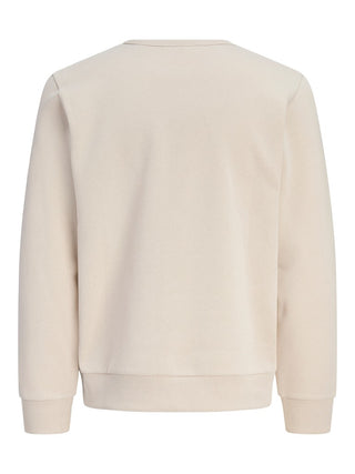 Ανδρικό φούτερ JJCLEVELAND SWEAT CREW NECK LN JACK&JONES 12298440 MOONBEAM W26/27