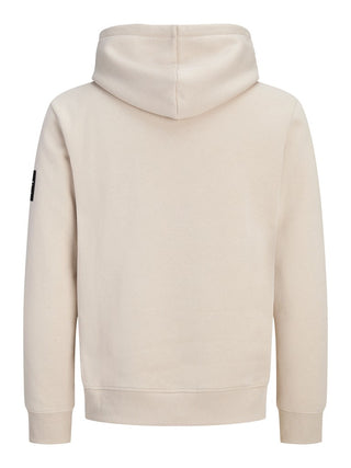 Ανδρικό φούτερ με κουκούλα JJCLEVELAND SWEAT HOOD SN JACK&JONES 12298441 MOONBEAM W26/27