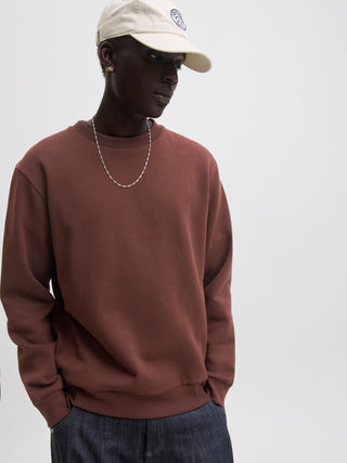 Ανδρικό φούτερ JJEBRADLEY SWEAT CREW JACK&JONES 12249341 BITTER CHOCOLATE NOOS W26/27