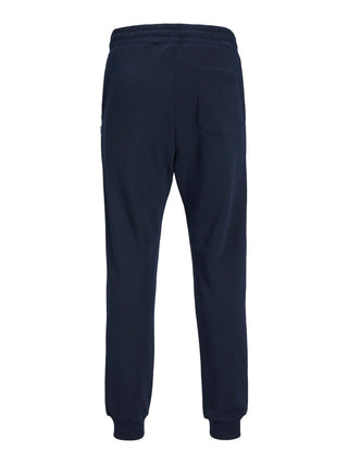 Ανδρικό παντελόνι φόρμας JPSTGORDON BRADLEY SWEAT PANT JACK & JONES 12249274 Navy Blazer NOOS W25/26