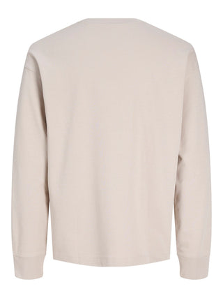 Ανδρική μακρυμάνικη μπλούζα JJEBARRON TEE LS O-NECK JACK&JONES 12304181 MOONBEAM NOOS SS26